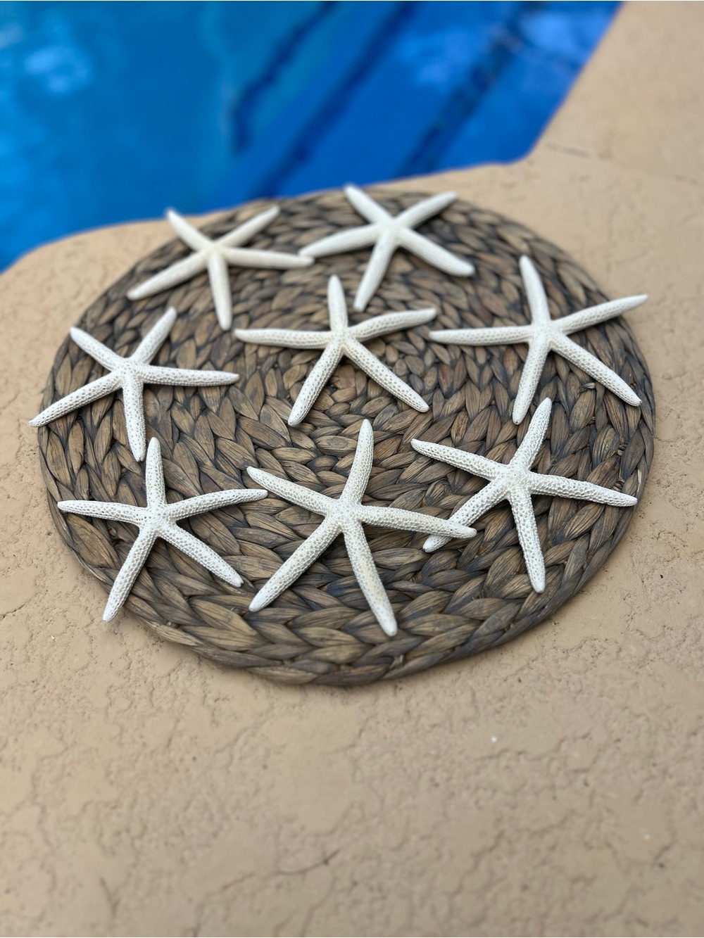 Set of 8 White Finger Starfish Set - Coastal Wall or Table Accents